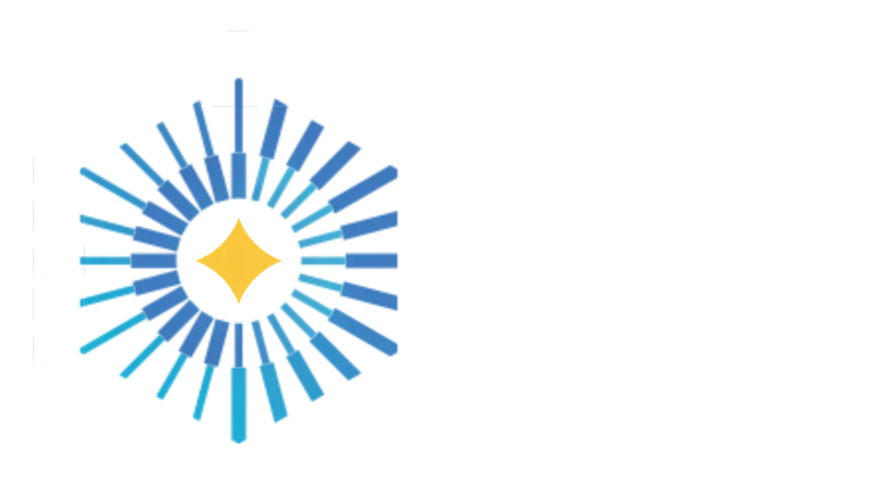 ShamsVision